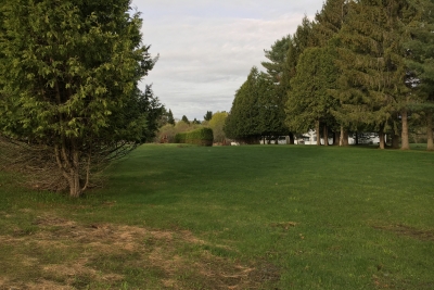 Photo Of Double-Wide Home Package On Lot 77 Lisa Drive Barre Town Vermont Grass With Trees